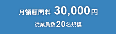 月額業務委託料30,000円 従業員数20名規模
