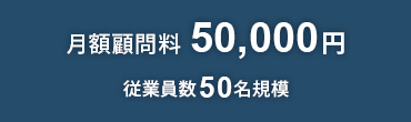 月額業務委託料50,000円 従業員数50名規模